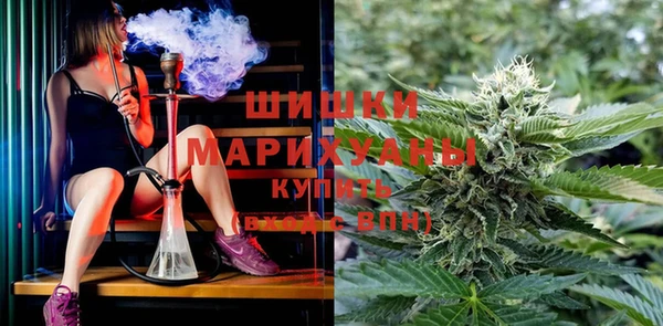 apvp Аркадак